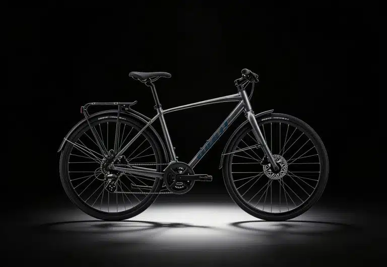 bike rental in Palma